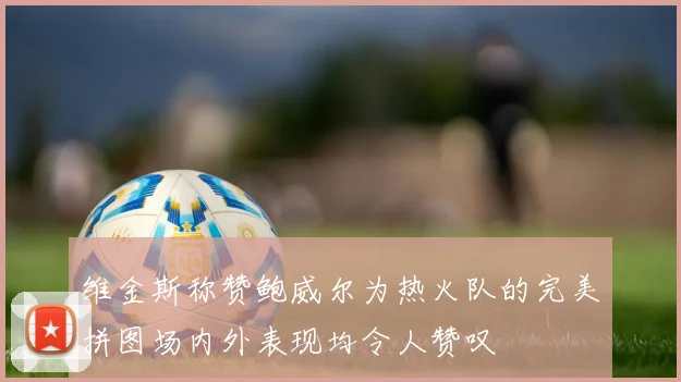 维金斯称赞鲍威尔为热火队的完美拼图场内外表现均令人赞叹