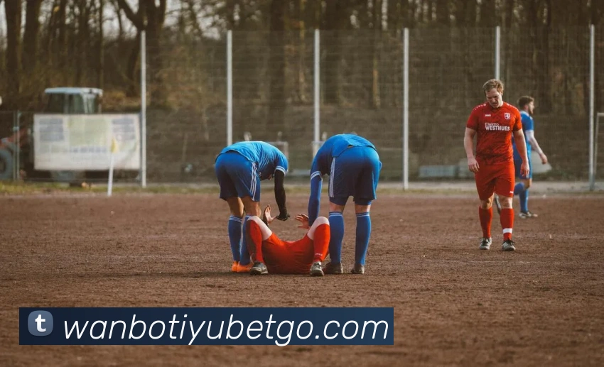 多媒体互动体验